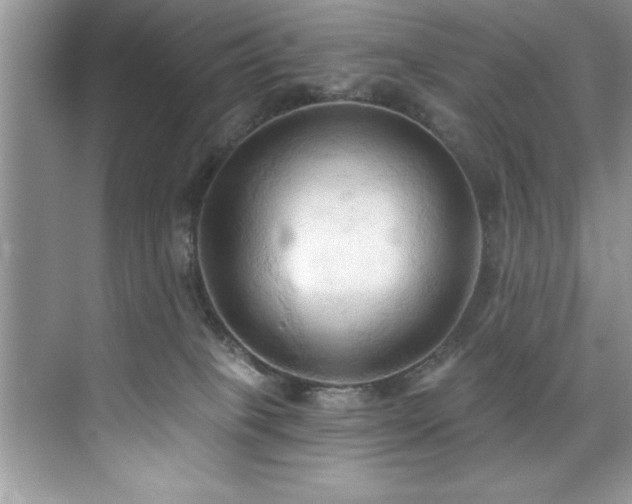 X0000076240085200609281151