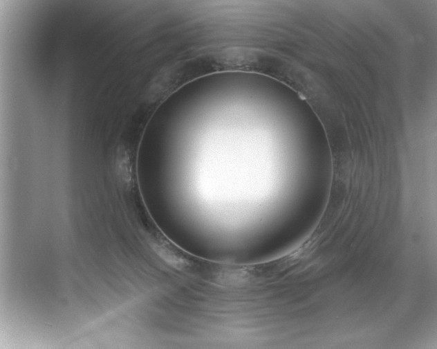 X0000076240086200609281151