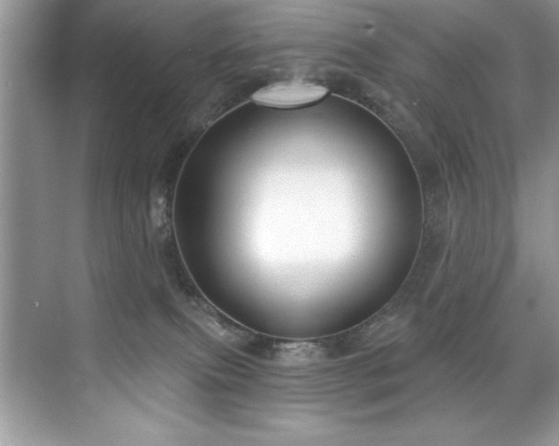 X0000076240087200609281151