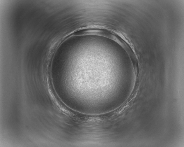 X0000076240097200609281150