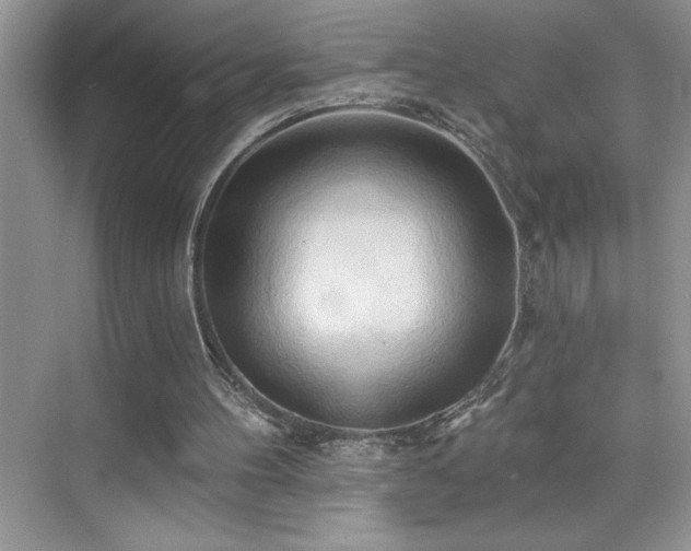 X0000076240100200609281150