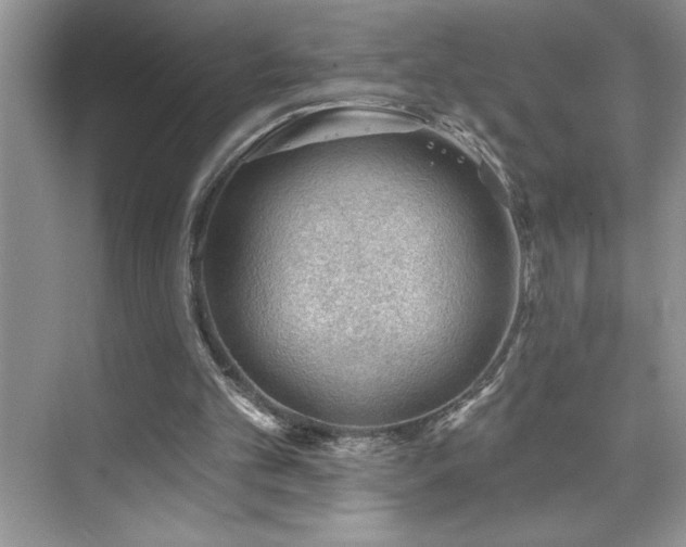 X0000076240101200609281150