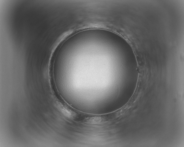 X0000076240104200609281150