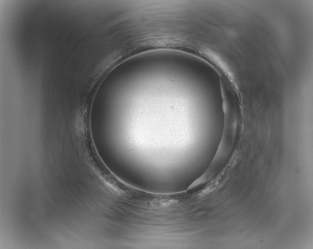 X0000076240105200609281150