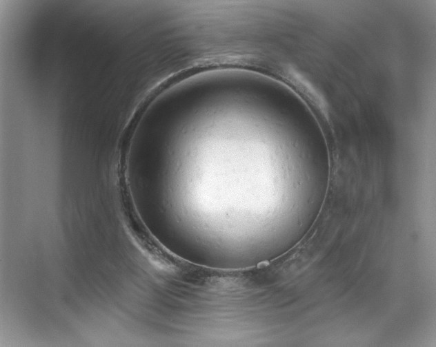X0000076240107200609281150