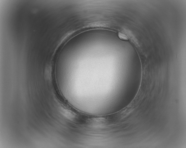 X0000076240108200609281150