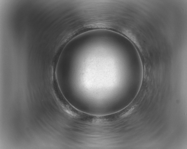 X0000076240109200609281150