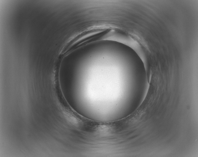 X0000076240111200609281150