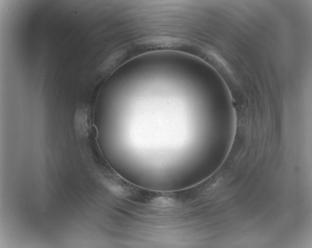 X0000076240119200609281150