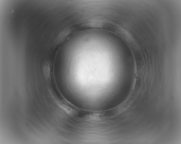 X0000076240120200609281150