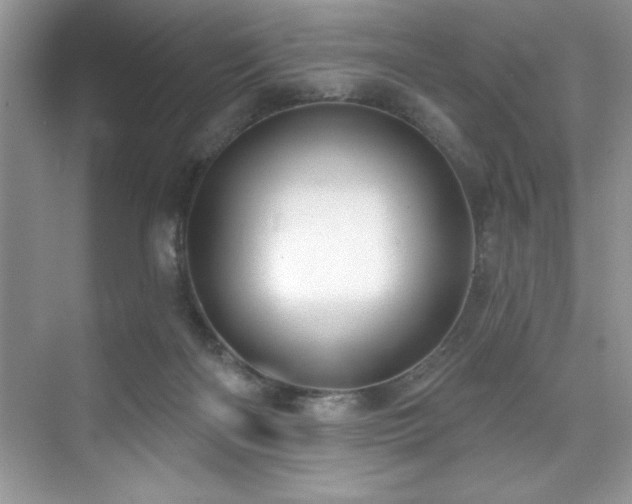 X0000076240122200609281150