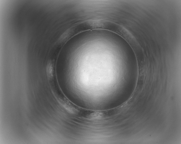 X0000076240124200609281150