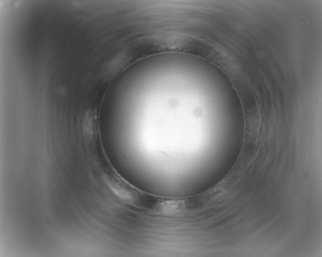 X0000076240126200609281150