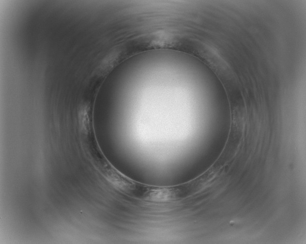 X0000076240127200609281150