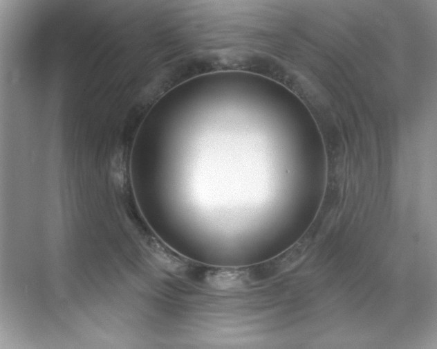 X0000076240129200609281150