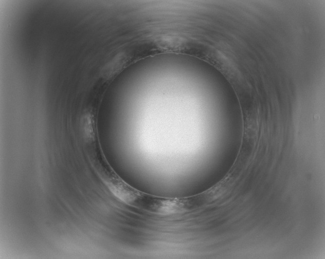 X0000076240130200609281150