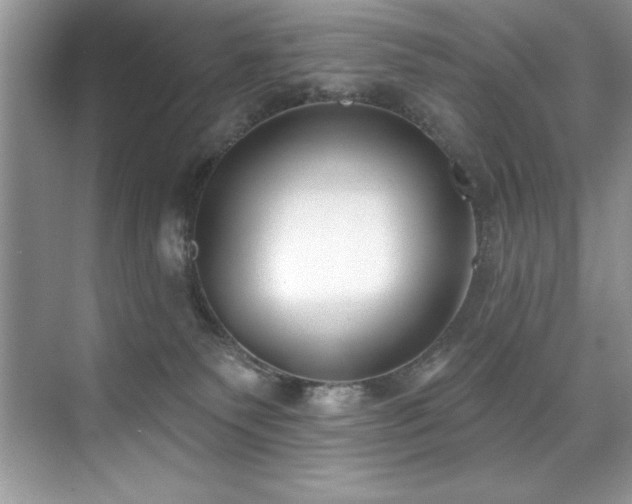 X0000076240135200609281150