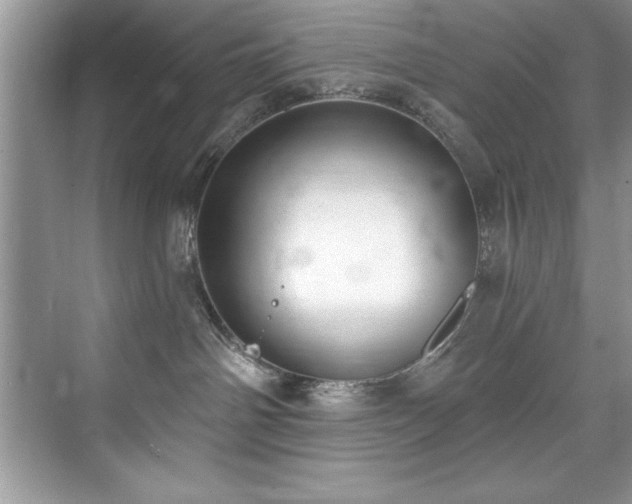 X0000076240142200609281150
