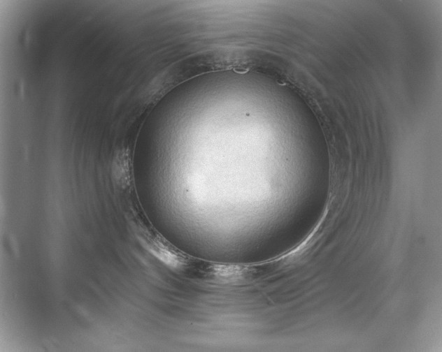 X0000076240144200609281150