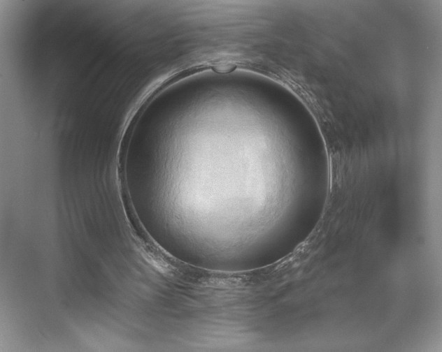 X0000076240147200609281149