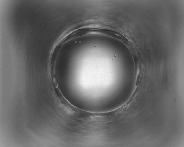 X0000076240150200609281149