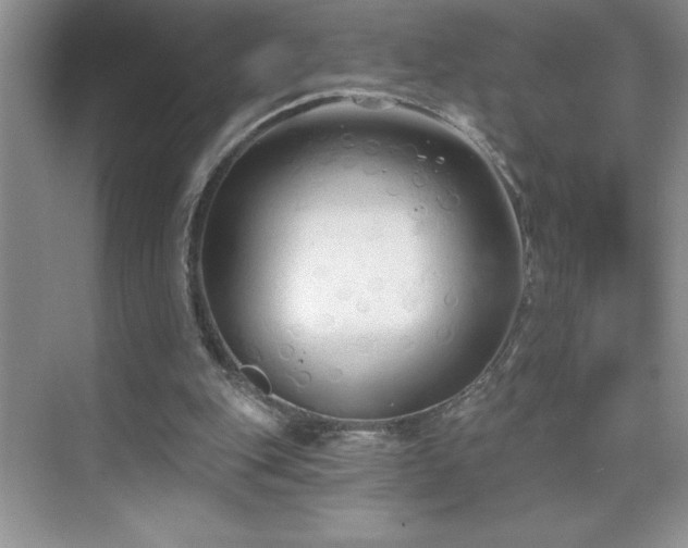 X0000076240151200609281149