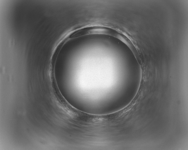 X0000076240152200609281149