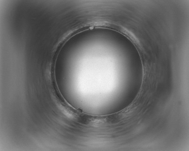 X0000076240155200609281149