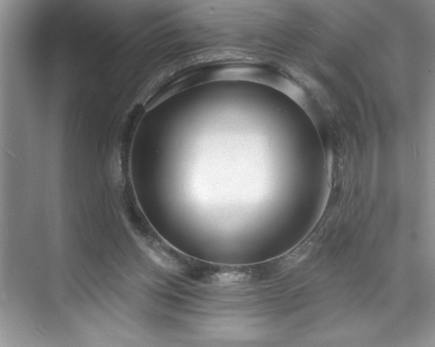 X0000076240158200609281149