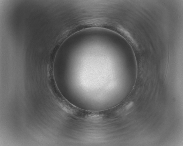 X0000076240161200609281149
