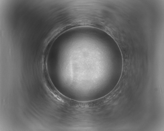 X0000076240194200609281149