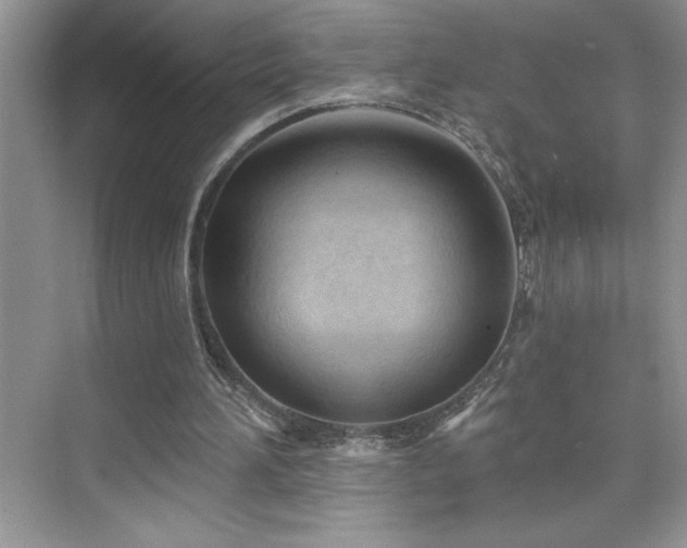 X0000076240196200609281149