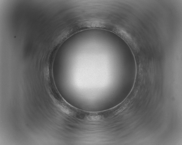 X0000076240202200609281149