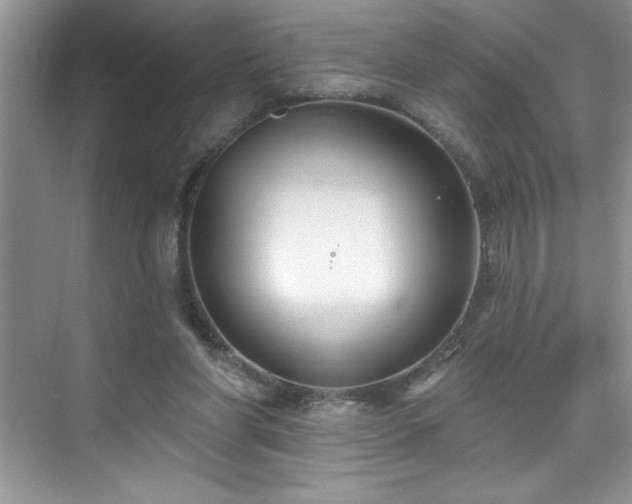 X0000076240206200609281149