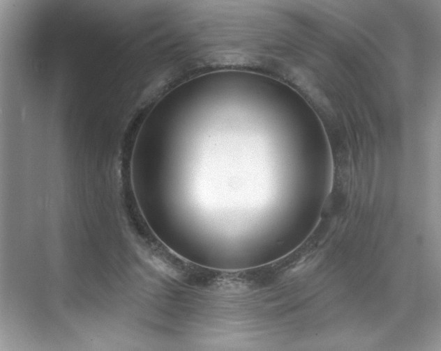 X0000076240207200609281149
