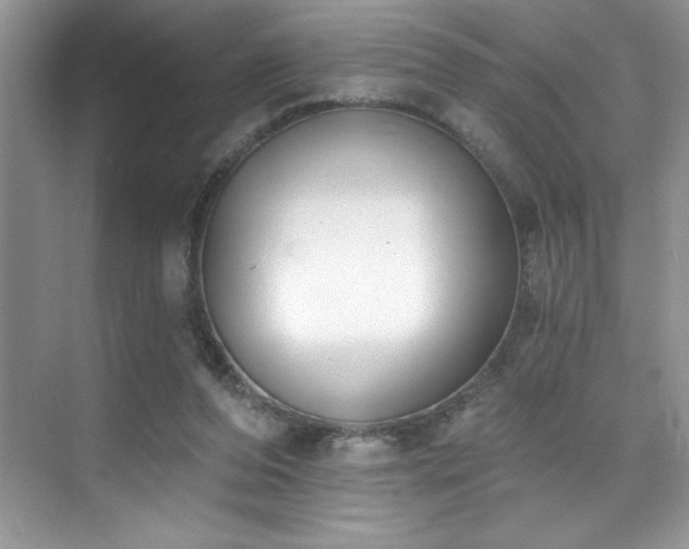 X0000076240208200609281149