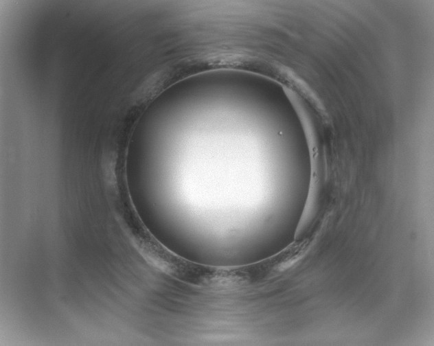 X0000076240209200609281149