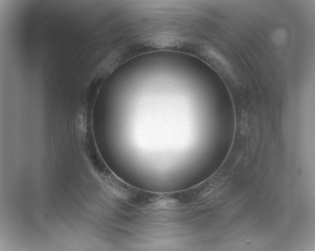 X0000076240210200609281149