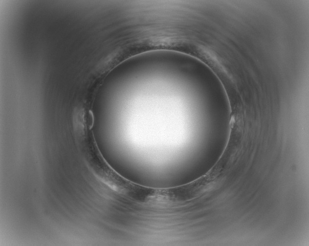 X0000076240211200609281148