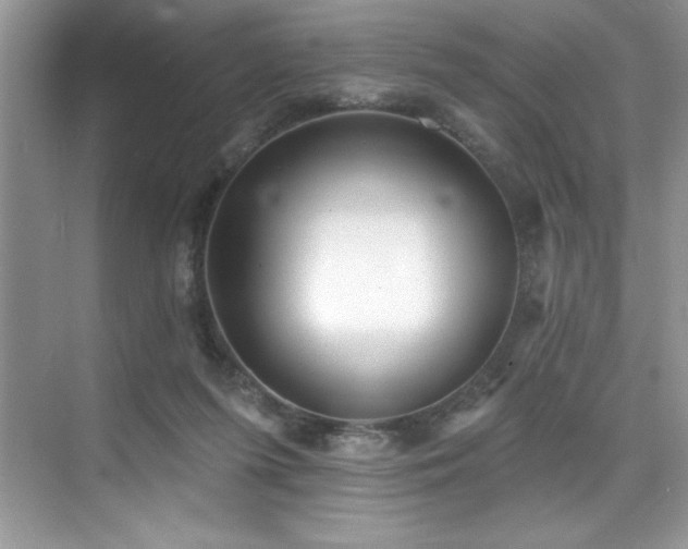 X0000076240215200609281148