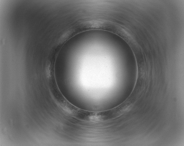X0000076240216200609281148