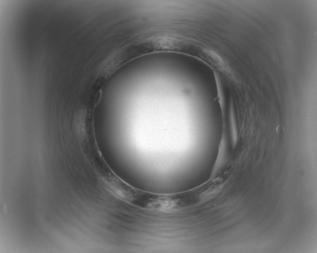 X0000076240217200609281148