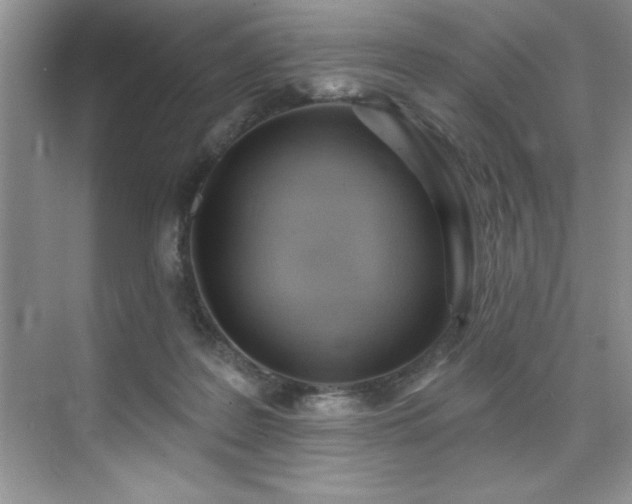 X0000076240219200609281148