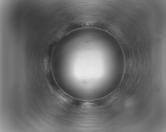 X0000076240222200609281148