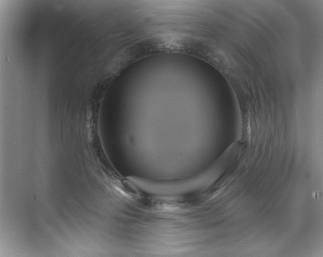 X0000076240223200609281148