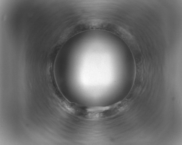X0000076240225200609281148