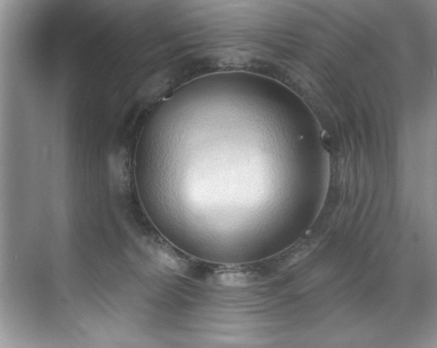 X0000076240228200609281148