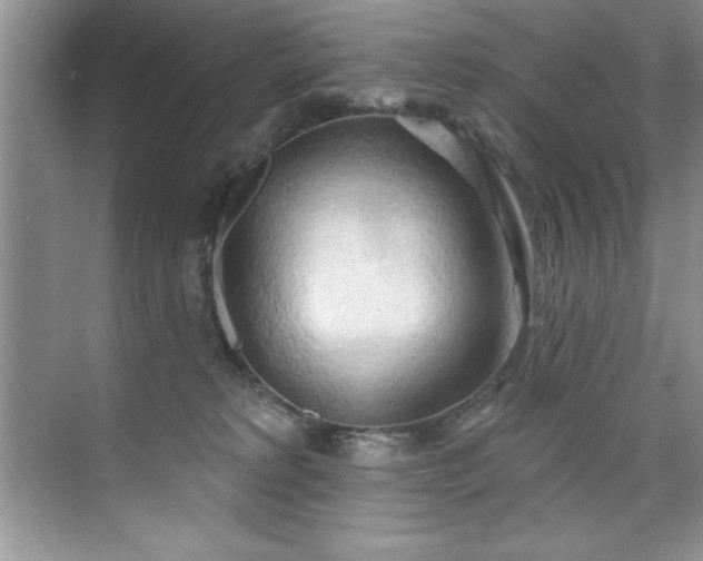 X0000076240229200609281148