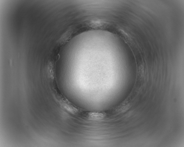X0000076240234200609281148