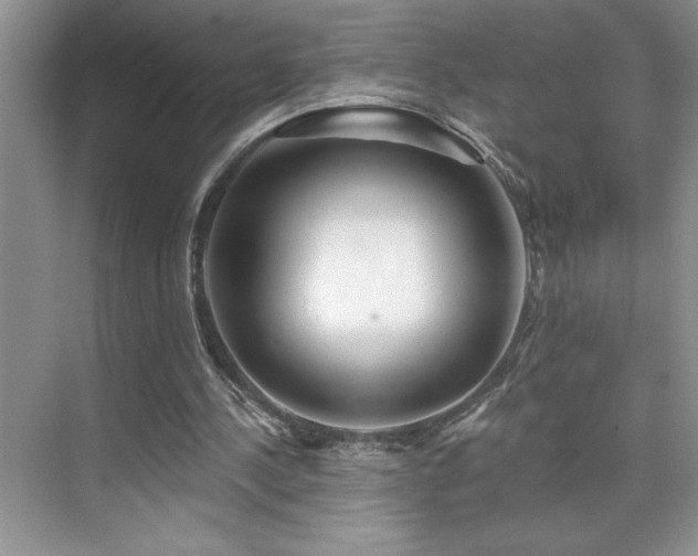 X0000076240244200609281147